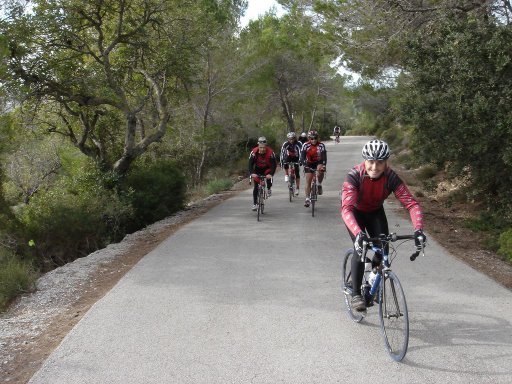 Belori Bike Gruppe Rennrad