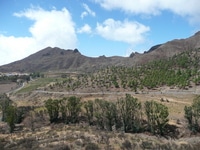 Teneriffa Geschichte berg landschaft
