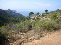 Teneriffa Wander